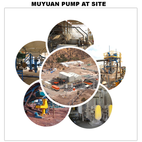 Muyuan Pumps allover the World