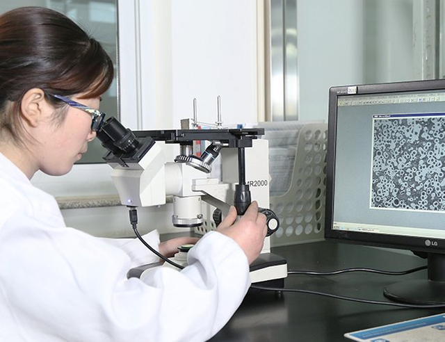 Metallographic Analysis